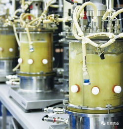 慕恩生物菌肥產(chǎn)品全國(guó)空白市場(chǎng)特許經(jīng)銷商火熱招募中