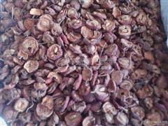 拓普康MS與生物制品 科技創(chuàng)新下的應(yīng)用與前景