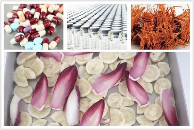 凍干技術(shù)在現(xiàn)代生產(chǎn)中的應(yīng)用與前景