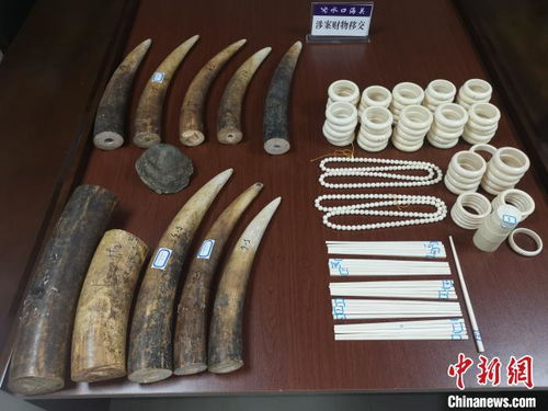 水口海關(guān)向林業(yè)局移交走私動(dòng)物制品，加強(qiáng)生物資源保護(hù)執(zhí)法合作