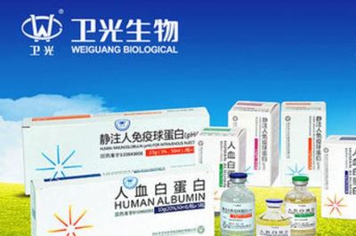 廣東國資改革龍頭股排行榜深度分析